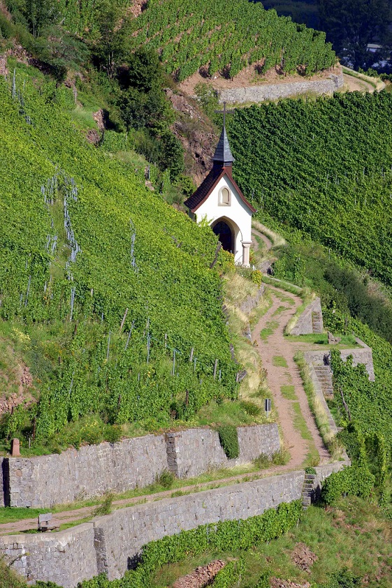 Domaine Zind-Humbrecht